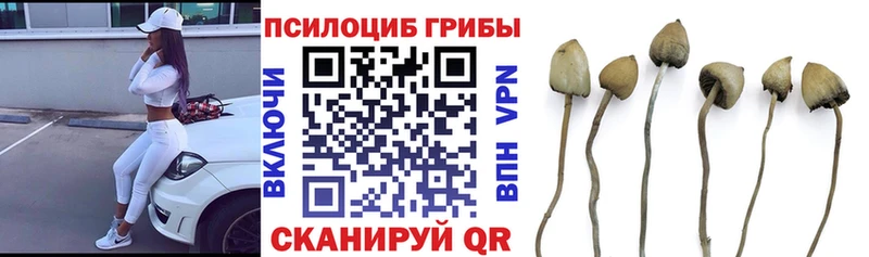Псилоцибиновые грибы прущие грибы  Купить где  Надым 